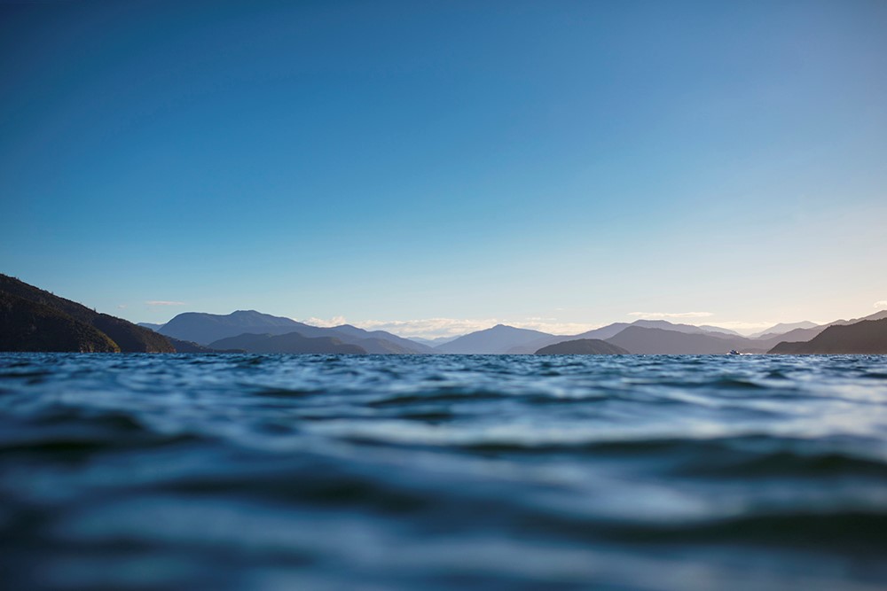 Marlborough Sounds Hero