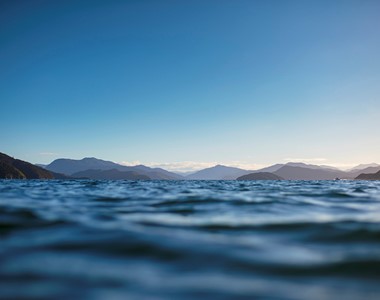 Marlborough Sounds Hero