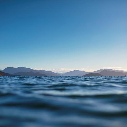 Website Privacy Policy