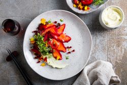 Sachie Nomura Salmon 250 X 167