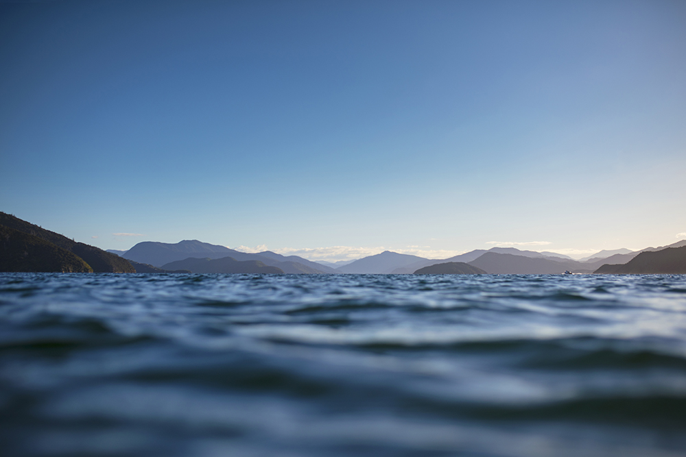 Politica Sulla Riservatezza