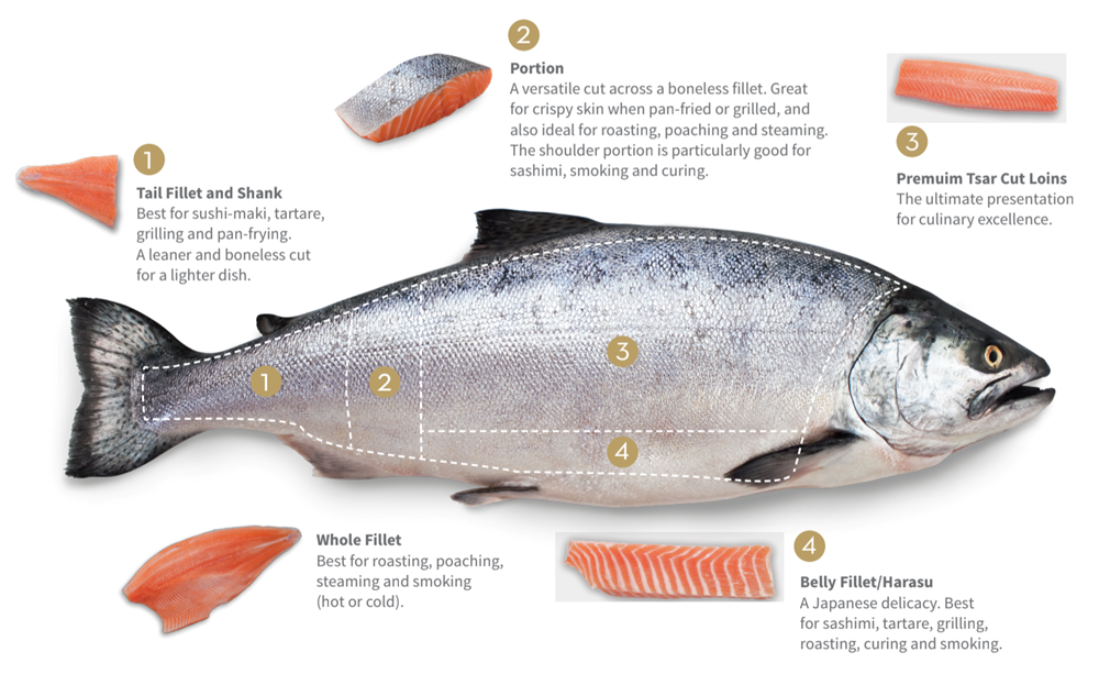 Regal New Zealand King Salmon Cuts Regal USA regal-new-zealand-king-salmon-cuts-regal-usa
