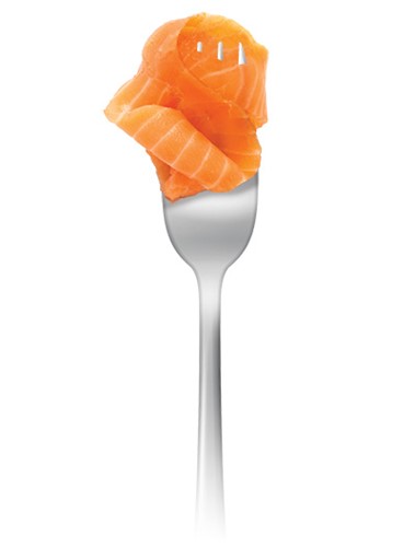 Salmon Fork